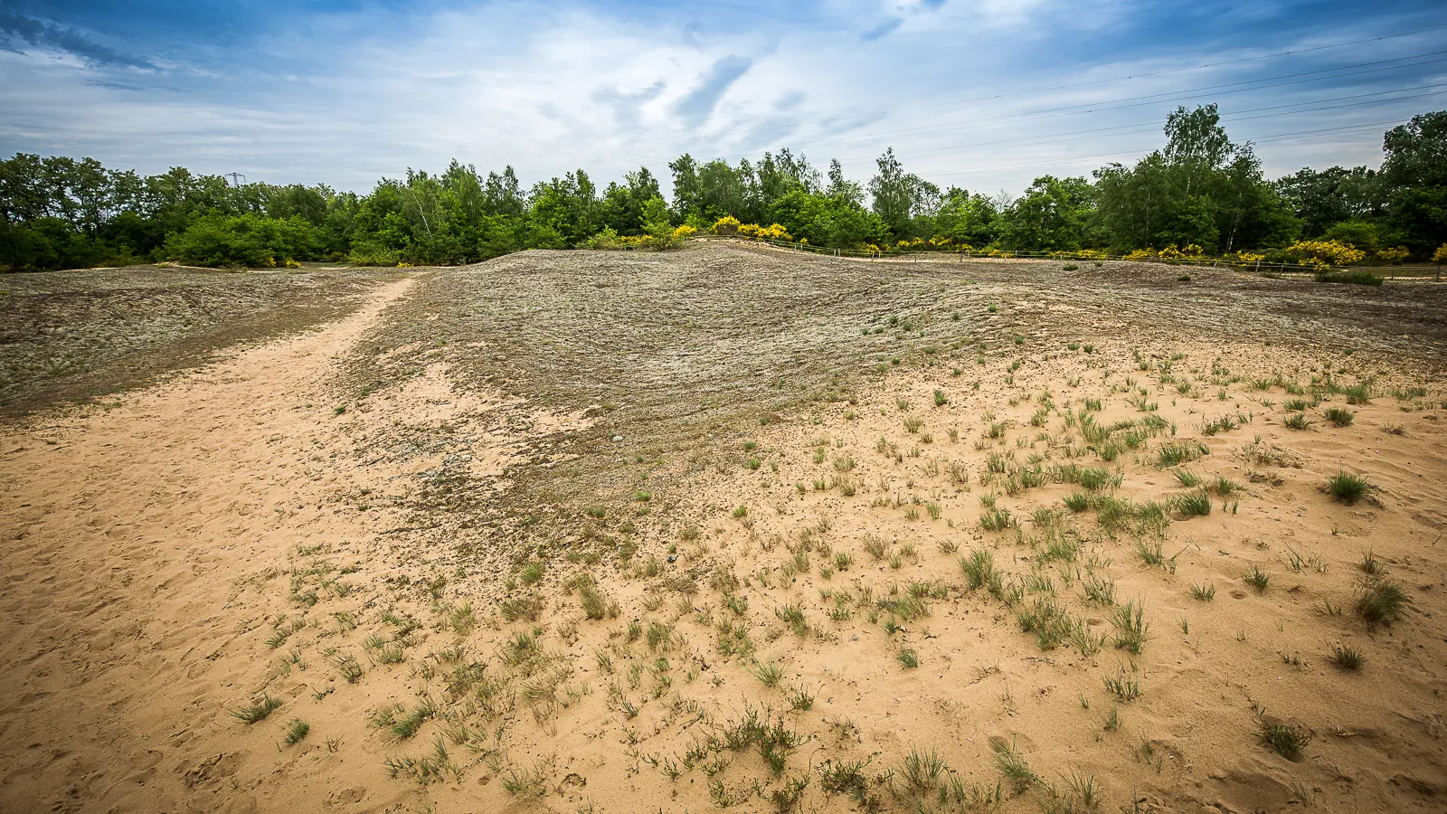 Dunes de sable sur le site des dunes des Charmes à Sermoyer
