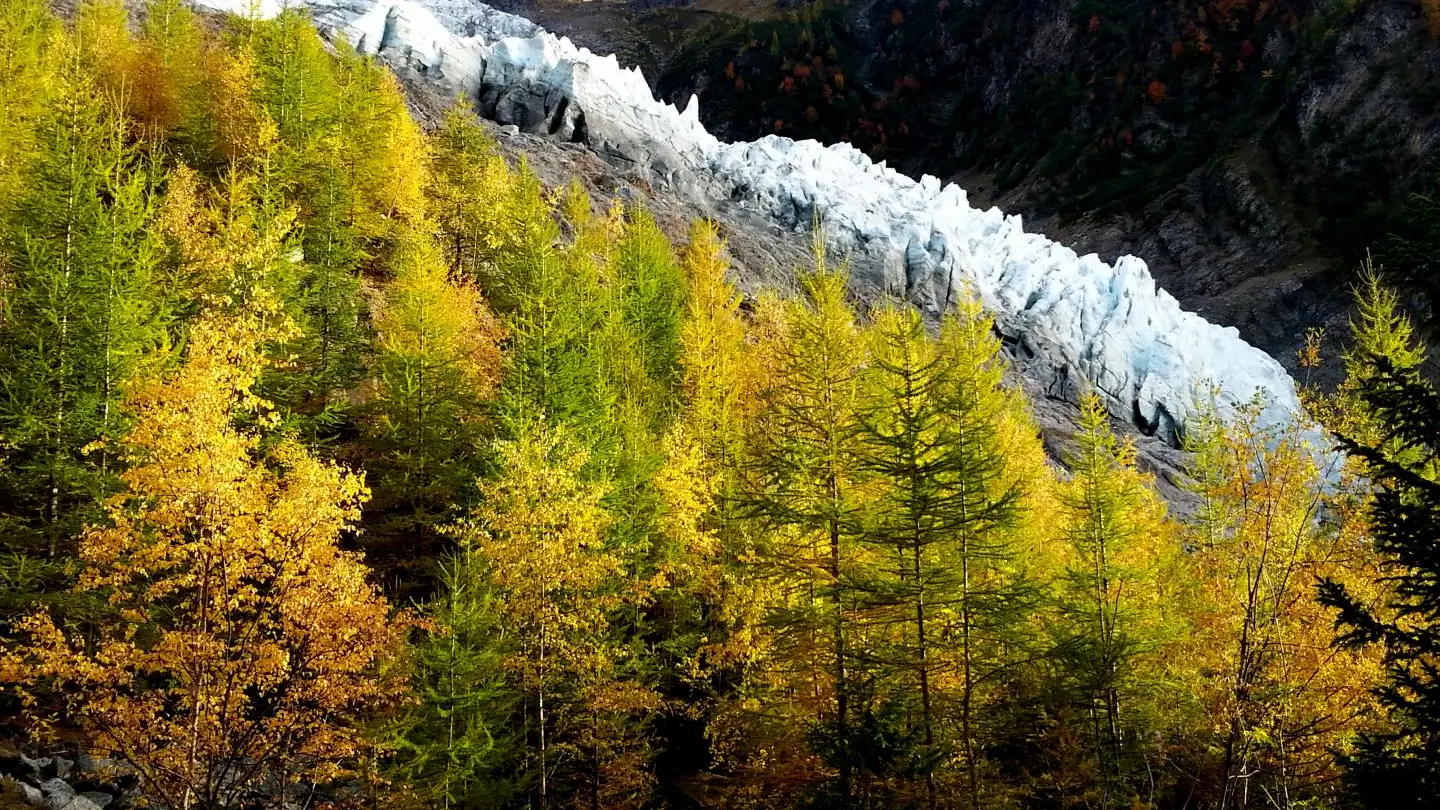 Glacier des Bossons à l'automne (accès en 1 heure de marche depuis le chalet)