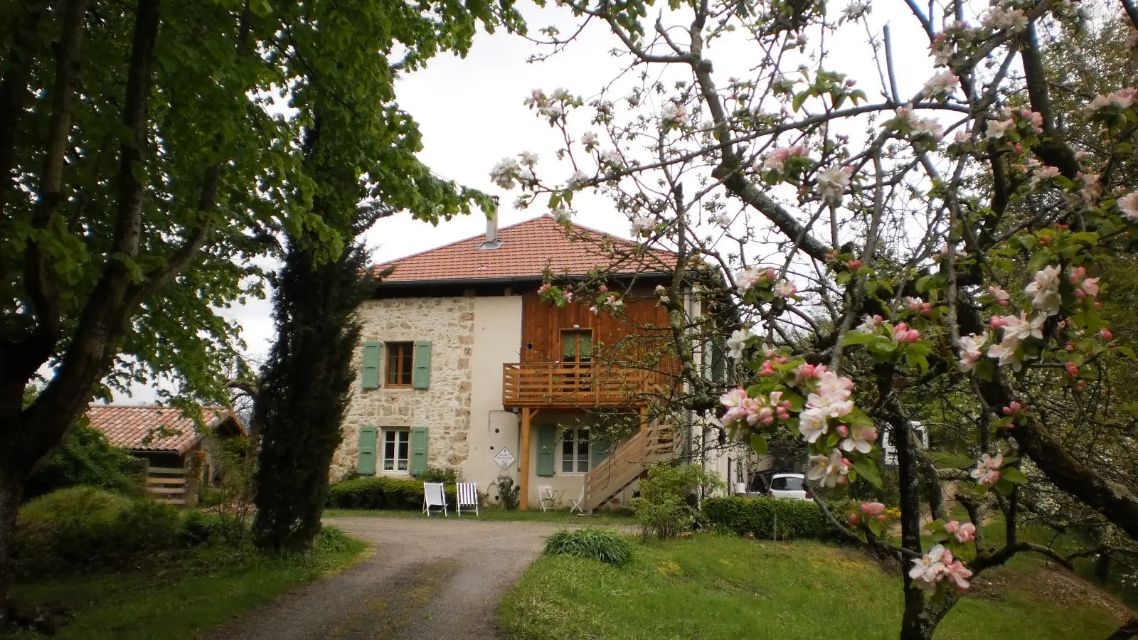 Vue du chemin boisé avec le gîte à l'étage.