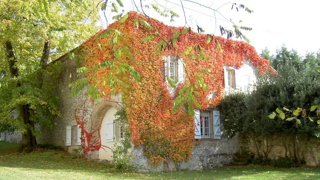 en automne