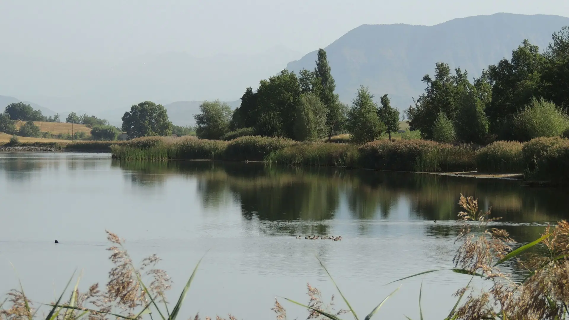 Le lac de Mison, espace naturel sensible