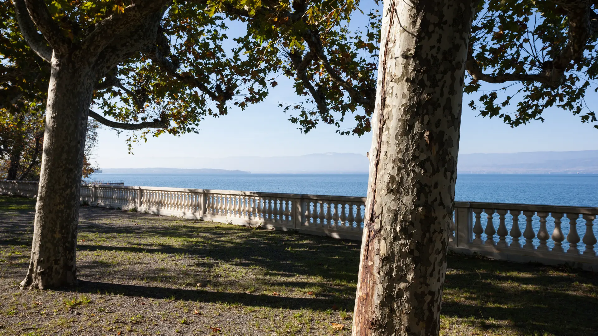 Parc de Corzent