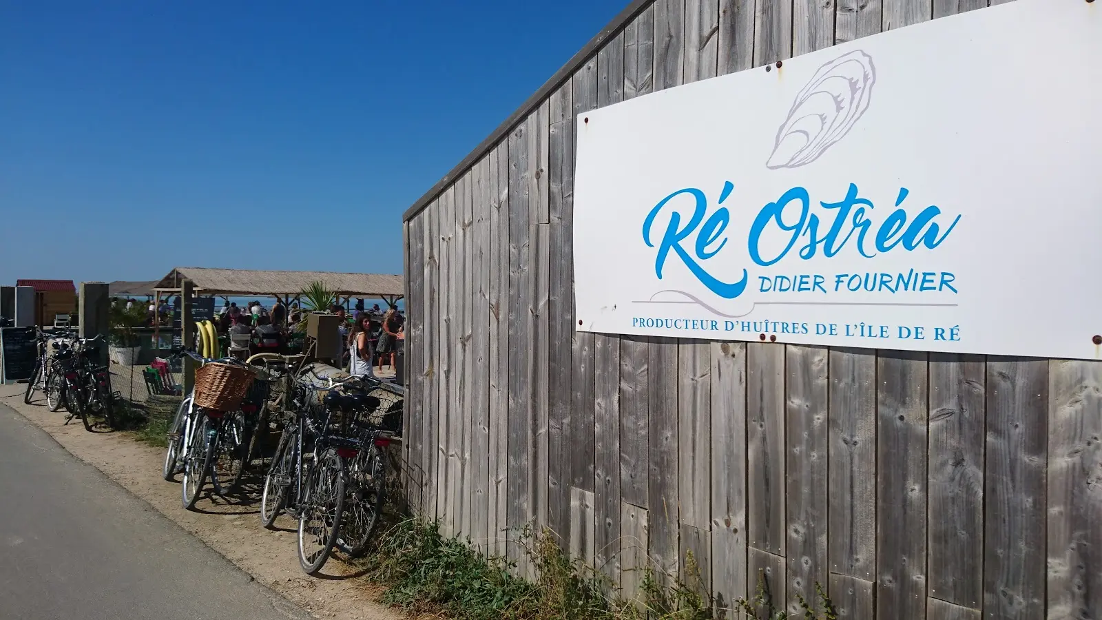 Façade de Ré Ostrea