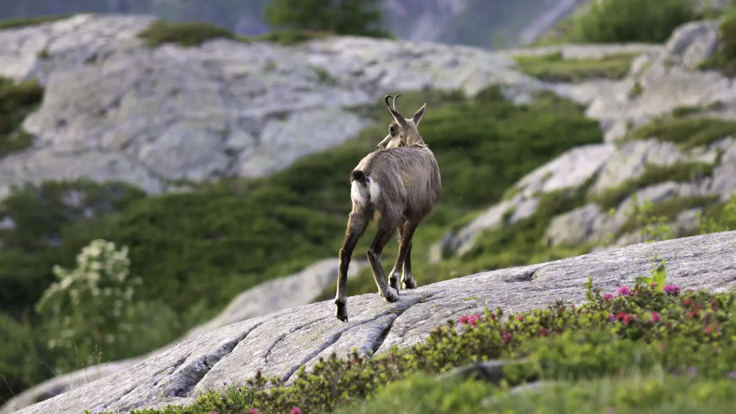 Randonnée découverte avec Ti'Fred Rando