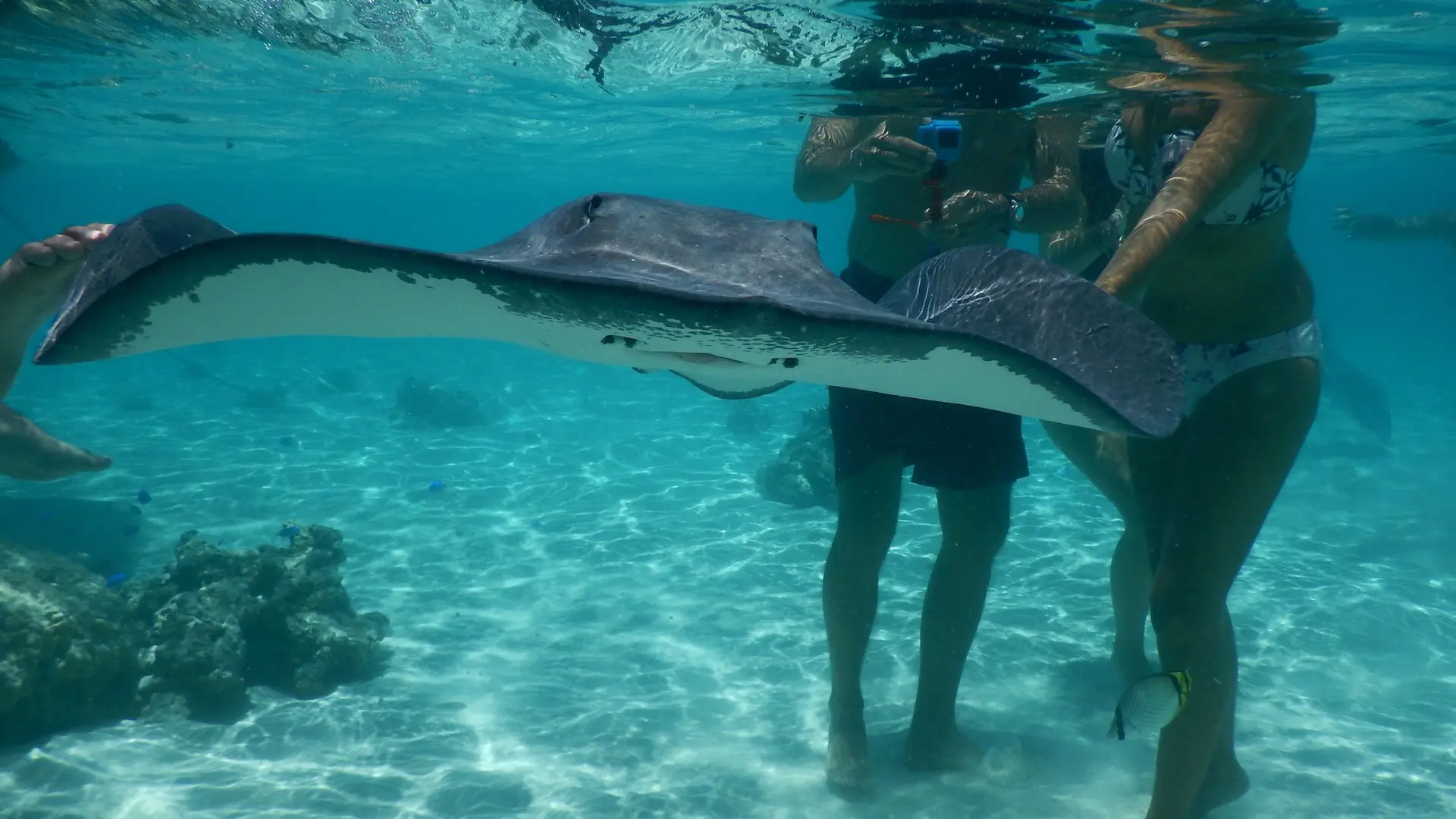 Moorea Activities Center - Jet Ski