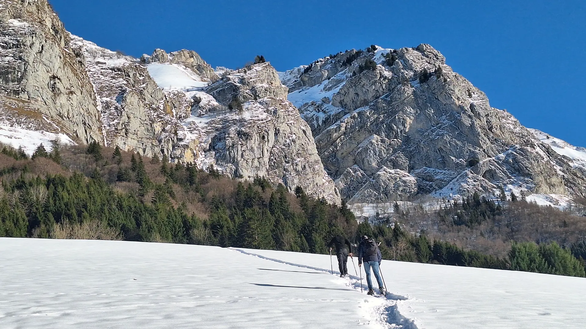 personnes effectuant une randonnée en raquettes dans la neige