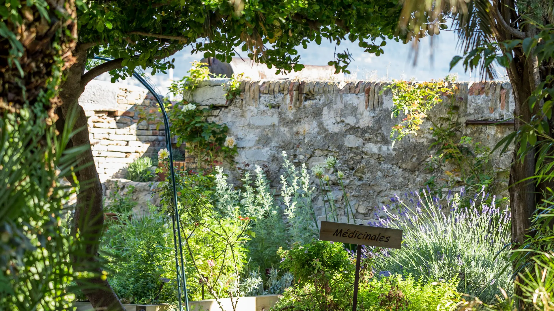 Jardin botanique du Musée Balaguier