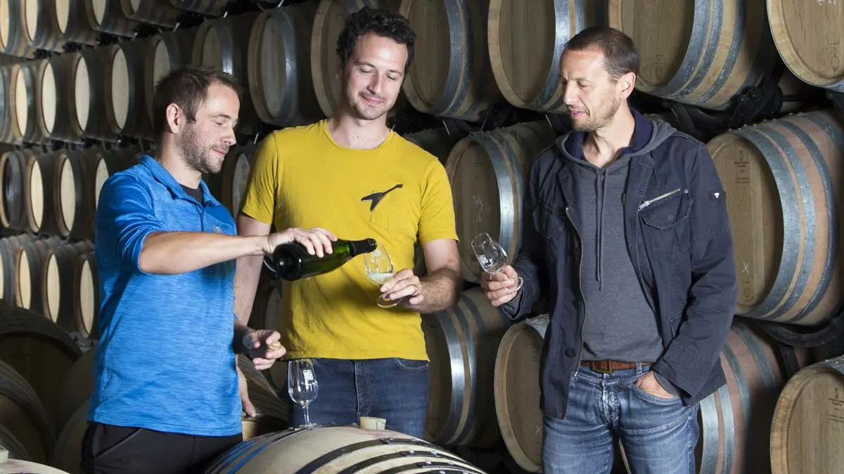 Les vignerons du Caveau Bugiste
