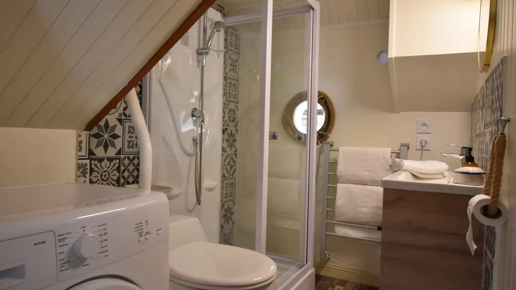Salle de douche 1