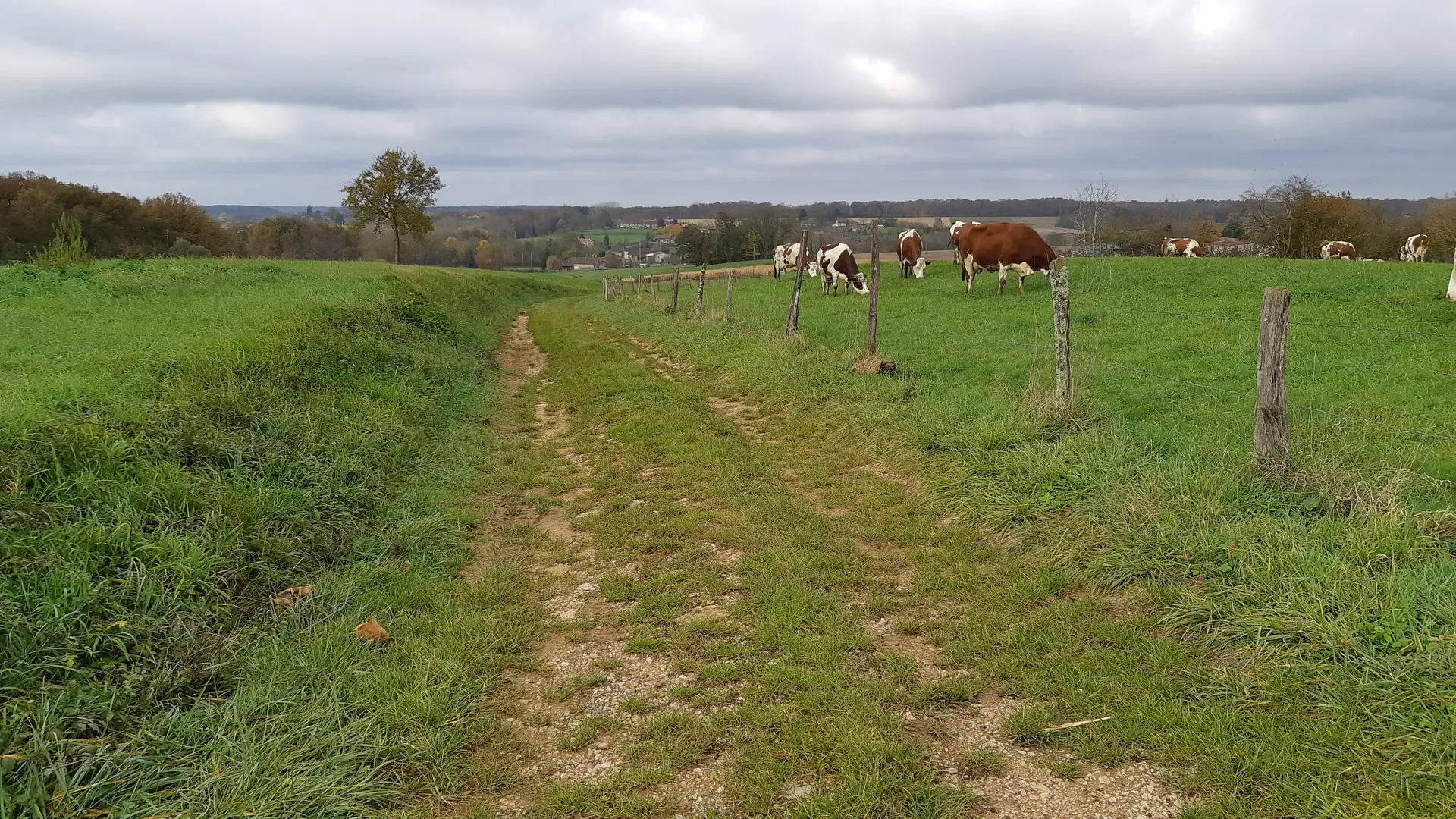 Fougemagne - Coligny