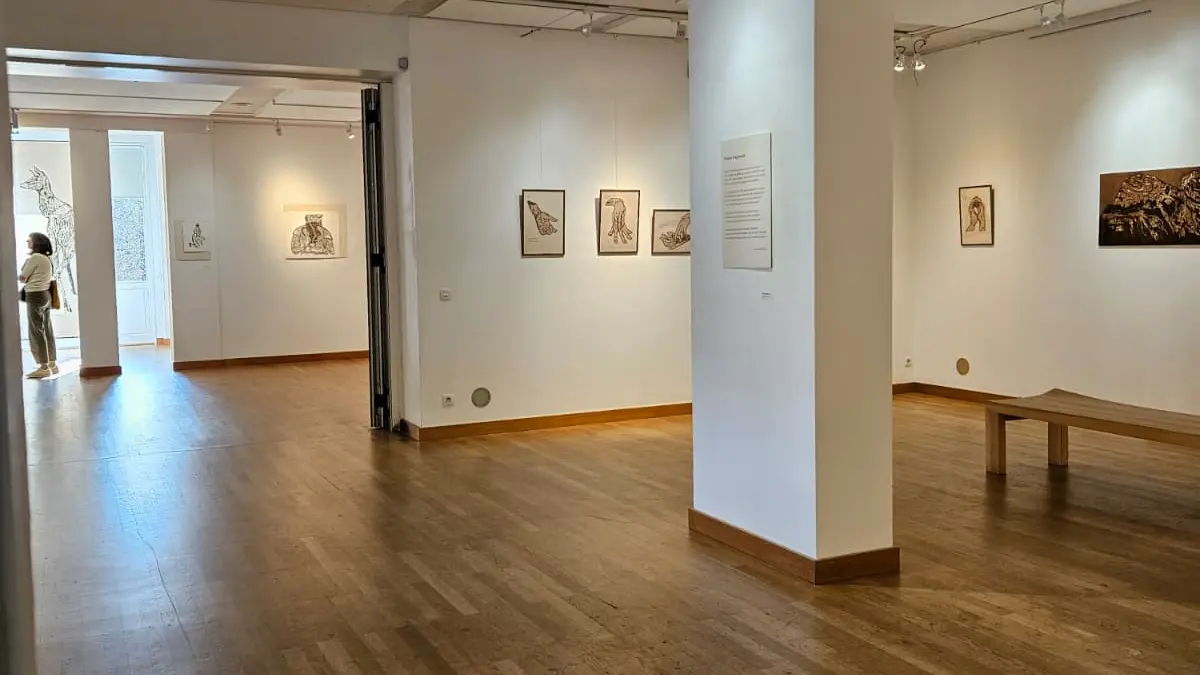 Vue de la salle d'exposition du Centre Culturel Jeannine Creissels