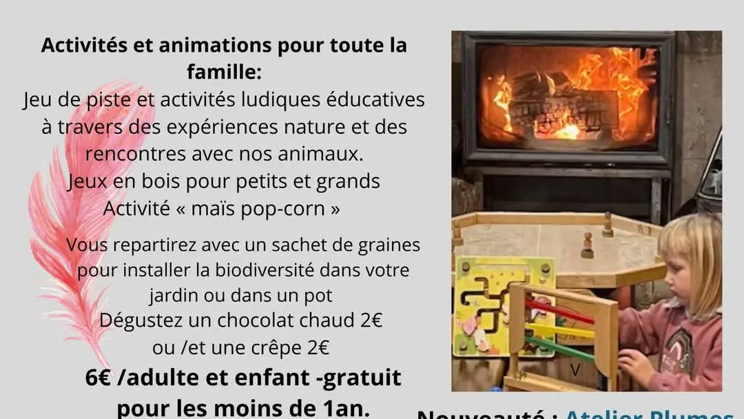 Atelier plumes_Sarrians