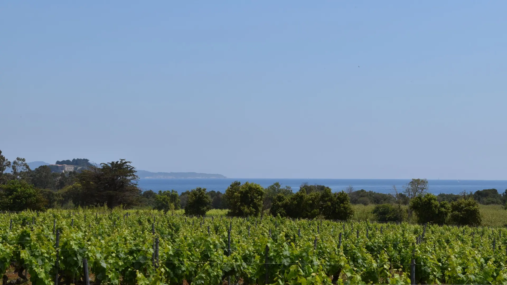 Vue sur le fort de Brégançon ainsi que la Pointe de la Galère
