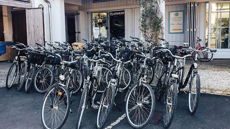 Bikes for rent at Cyclo Loix