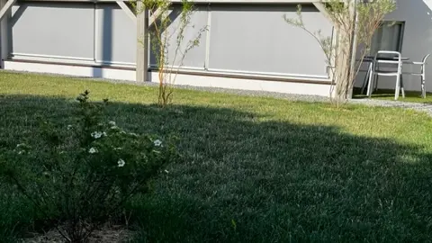 vue sur jardin