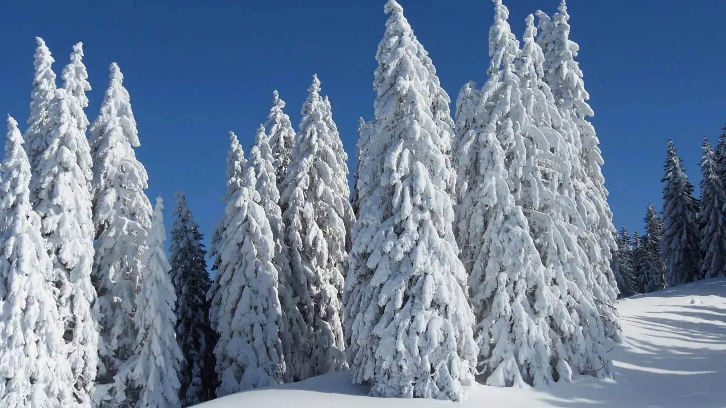 Brrrrr il fait froid,regarde ce ciel!!!!