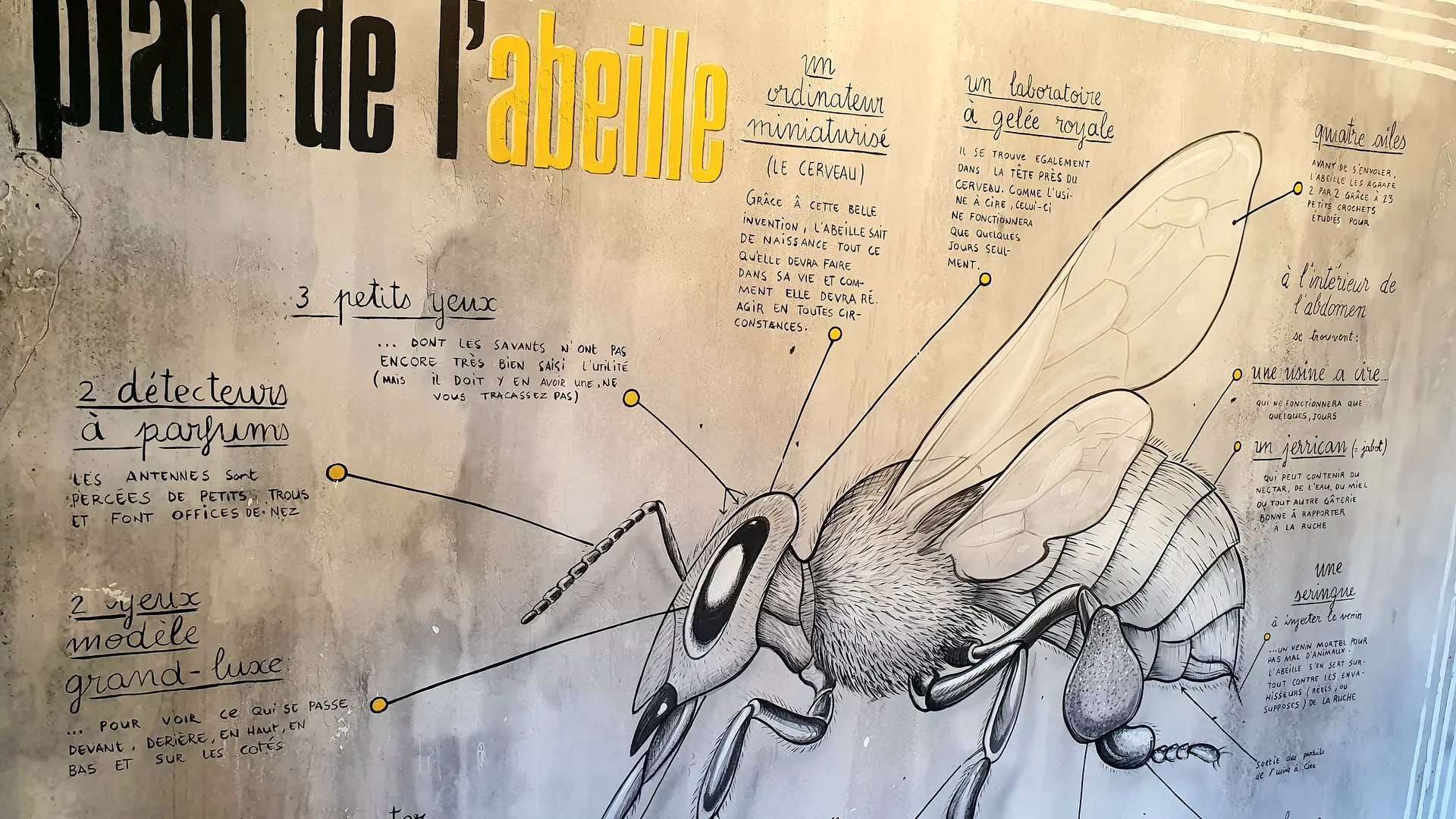 Espace visite