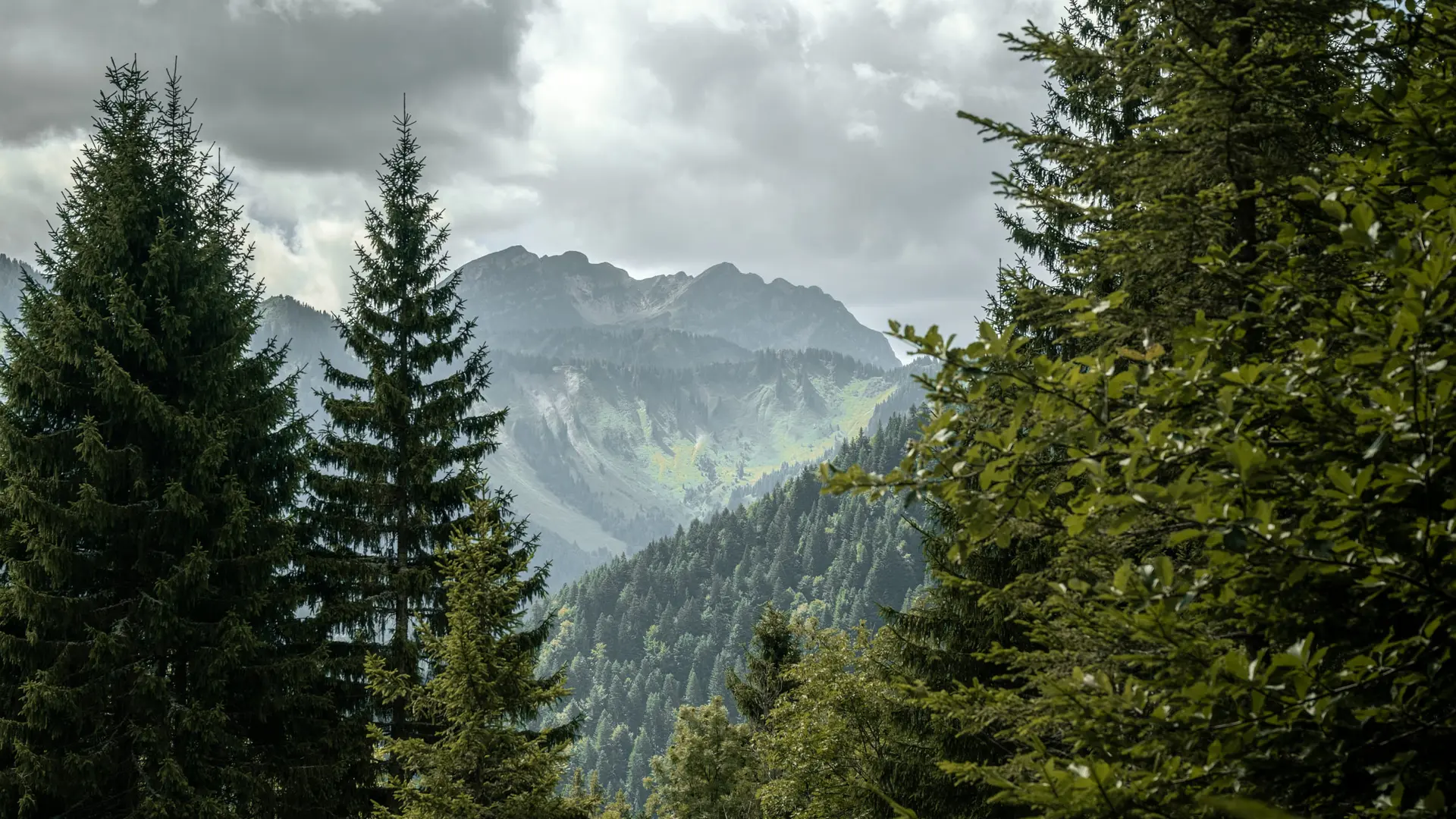 Montagnes de Haute-Savoie