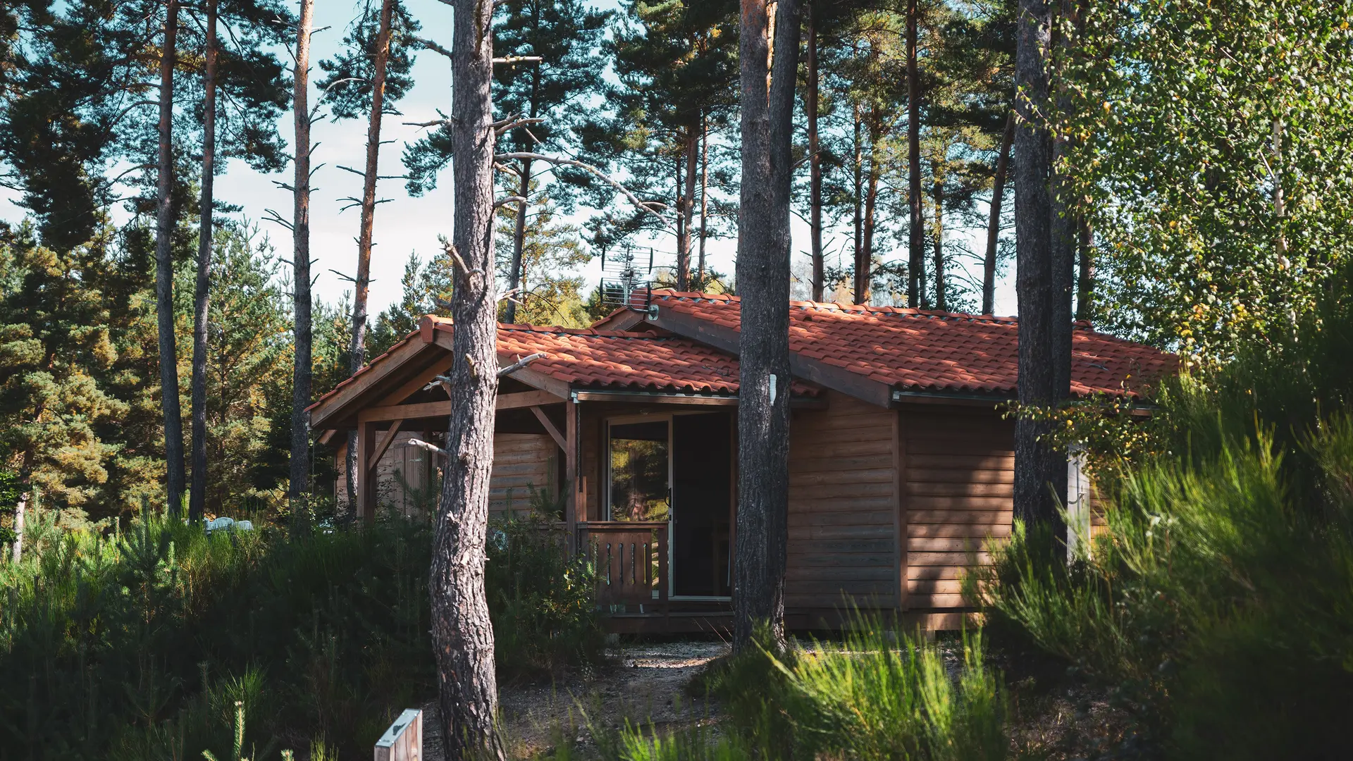 Chalets du Haut-Forez