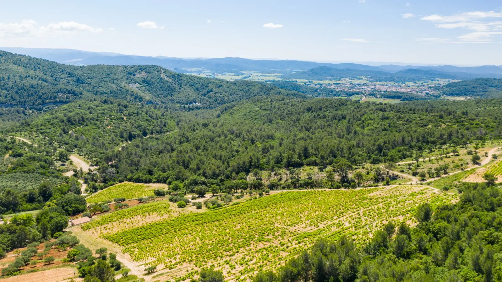 Domaine implanté sur 30 ha de vignes à Cuers