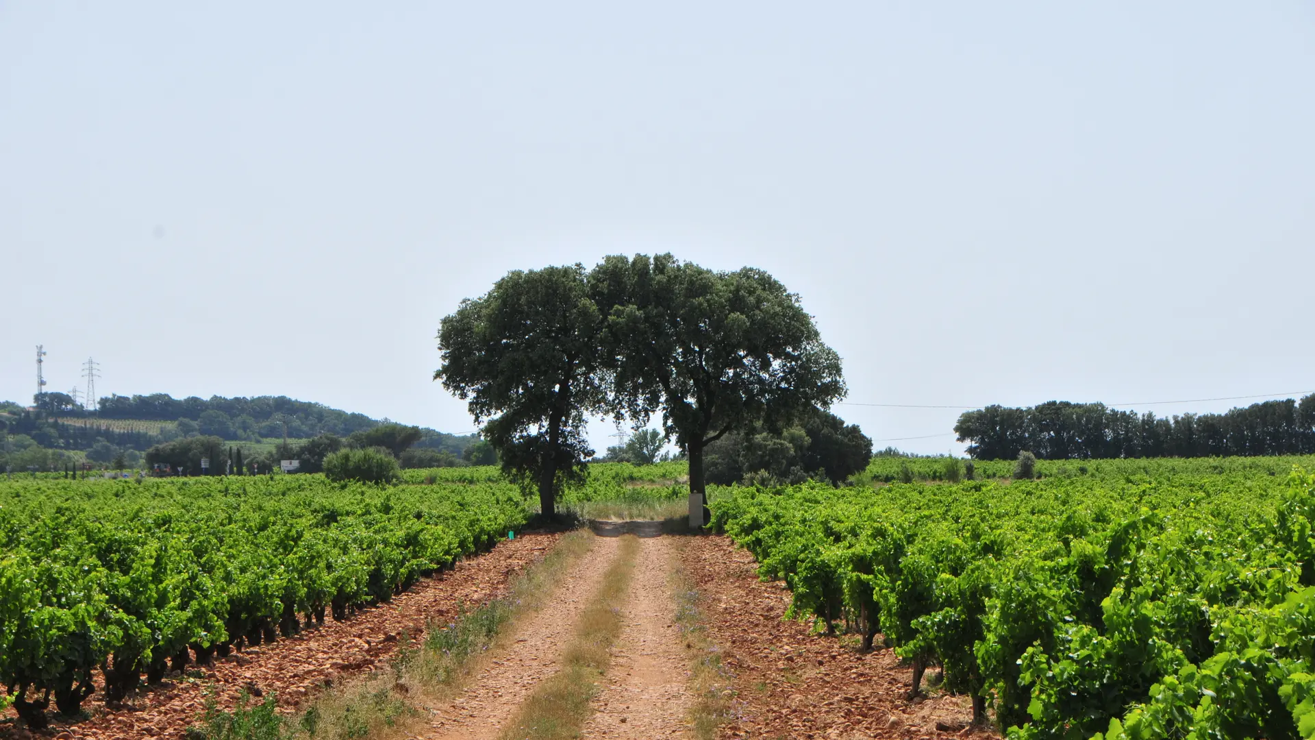 Mas de Boislauzon