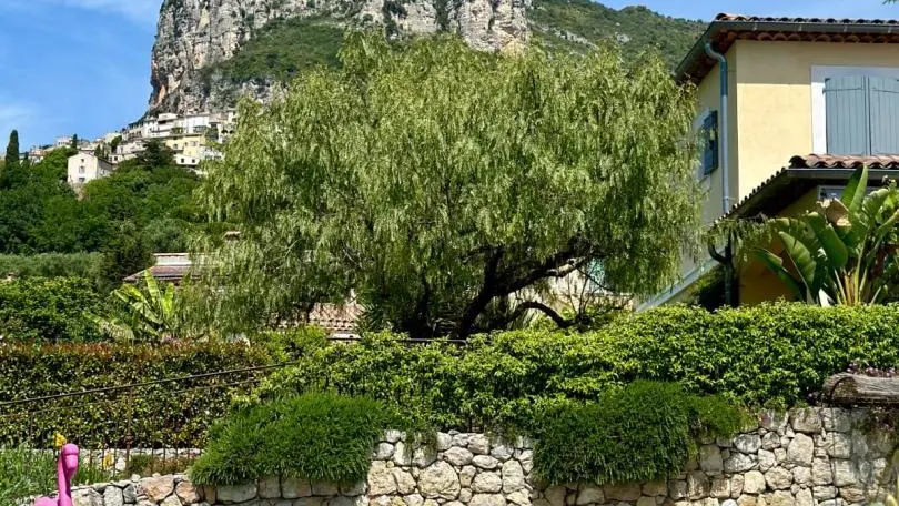 Gîte Olidom-Vue du jardin sur le Baou-Saint Jeannet-Gîtes de France Alpes-Maritimes