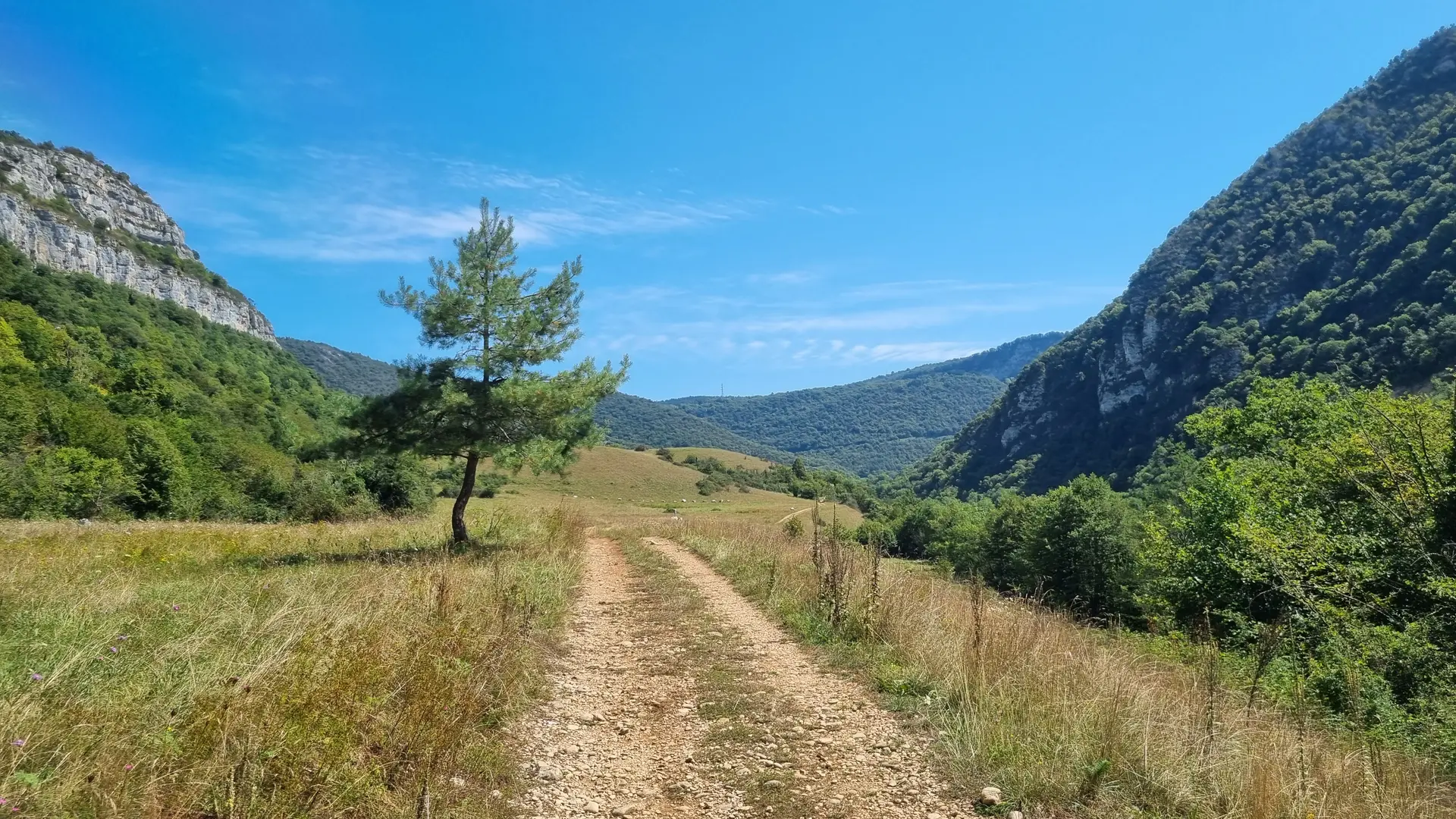 Gorges de l'Ain à VTT