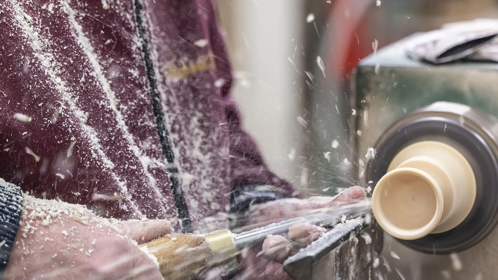 Maison du Bois et de la Forêt de Méolans-Revel