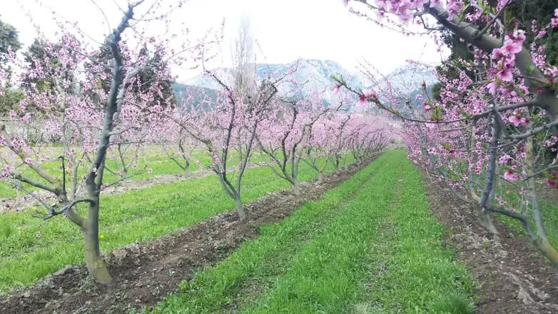 Les Jardins de Gaïa