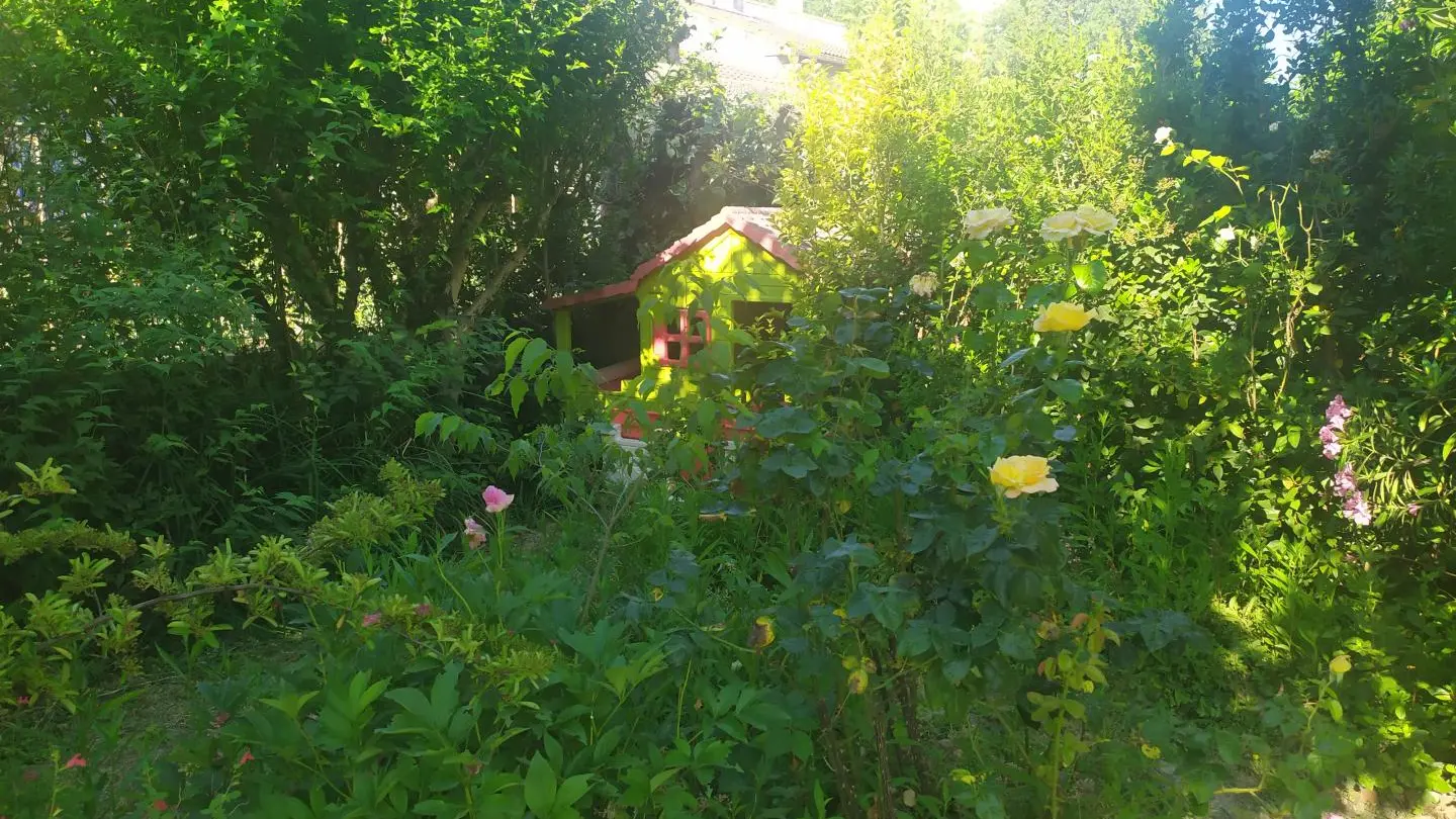 petite maison d enfants cachée dans le feuillage:un vrai bonheur