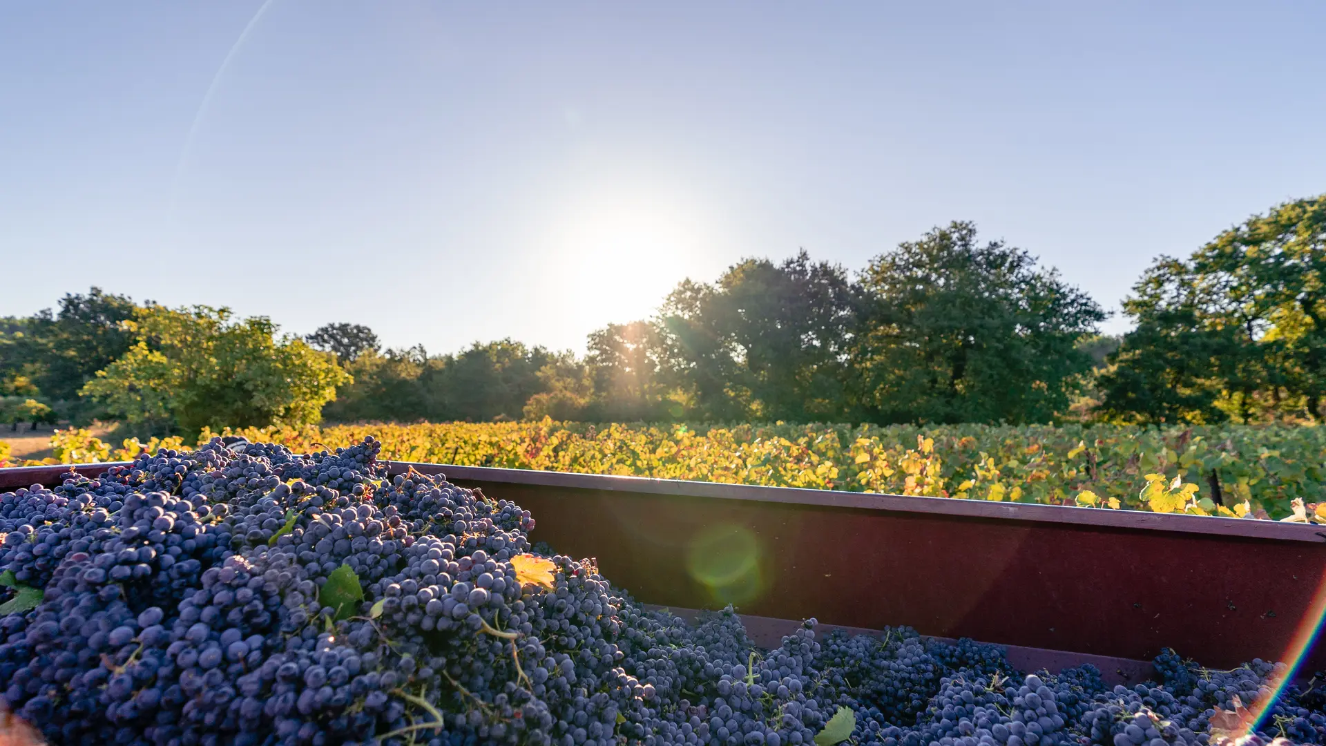 Domaine des Hauts Traversiers