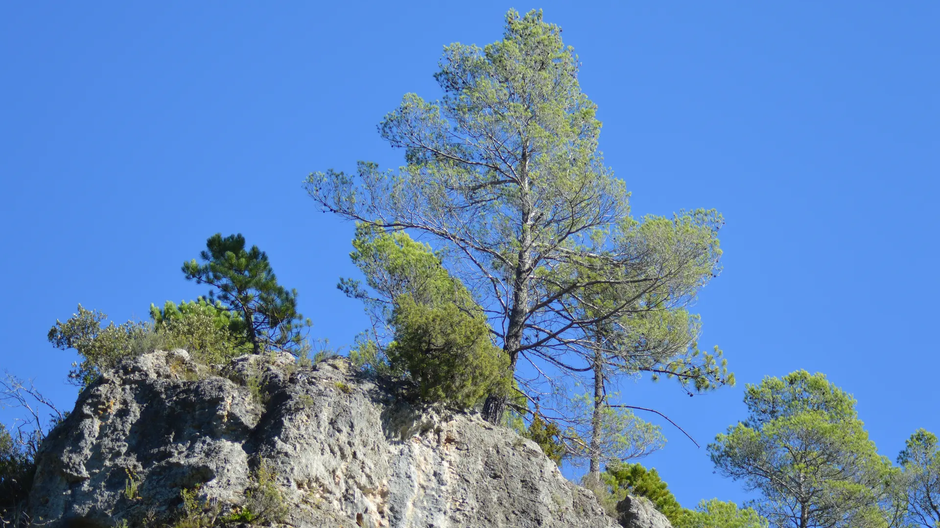 Le site de Saint Bartélémy