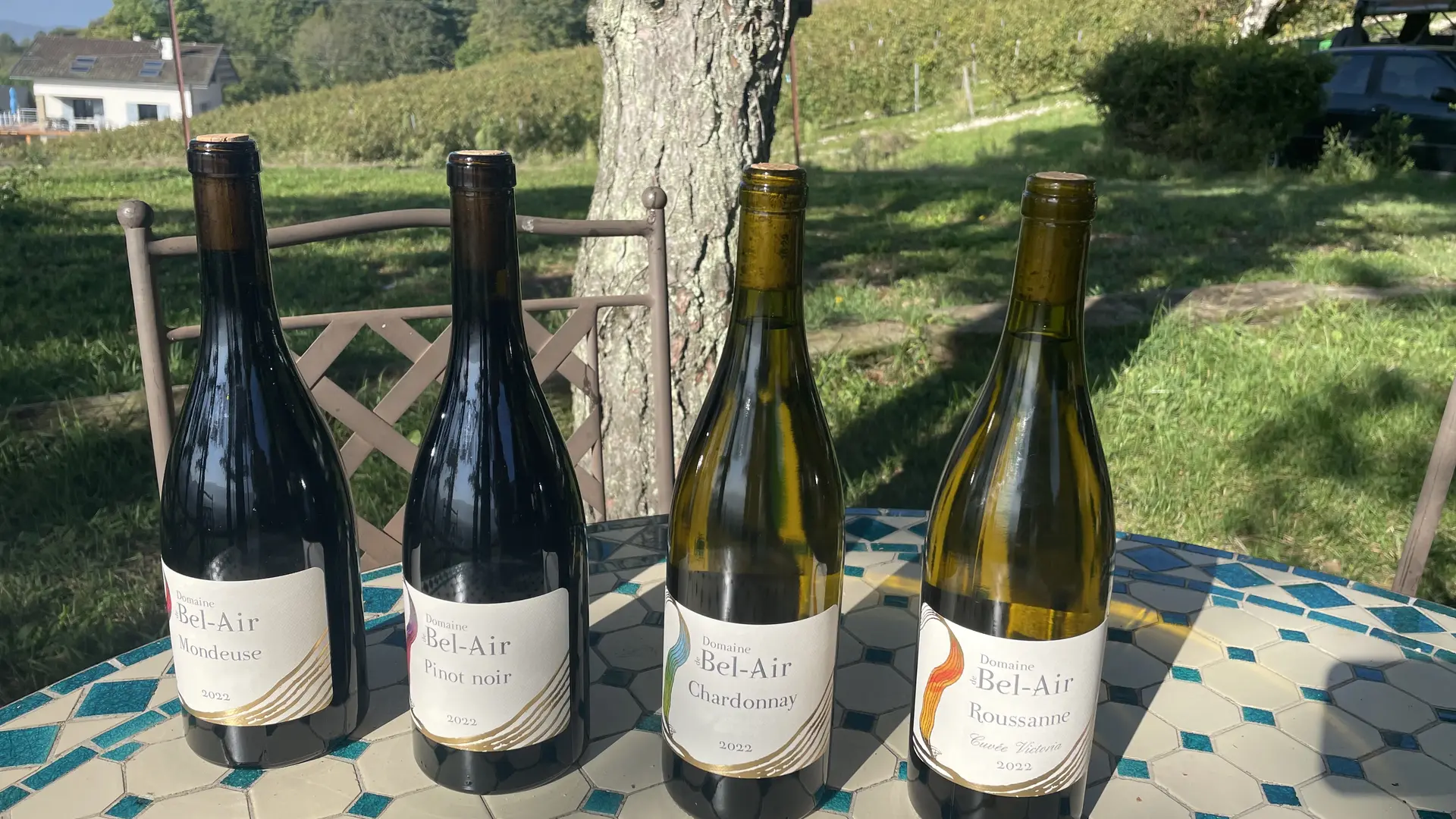 Vins de la production