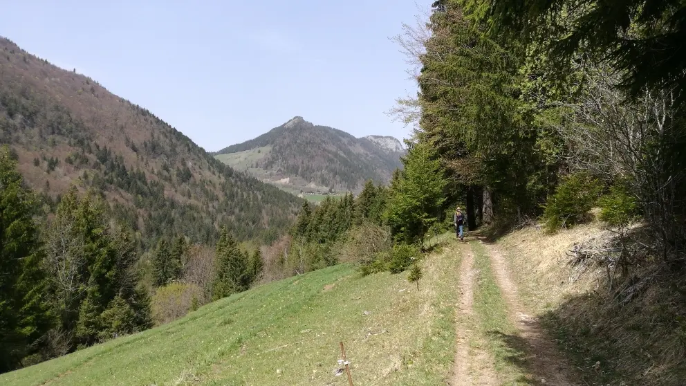 En direction du Col de la Forclaz