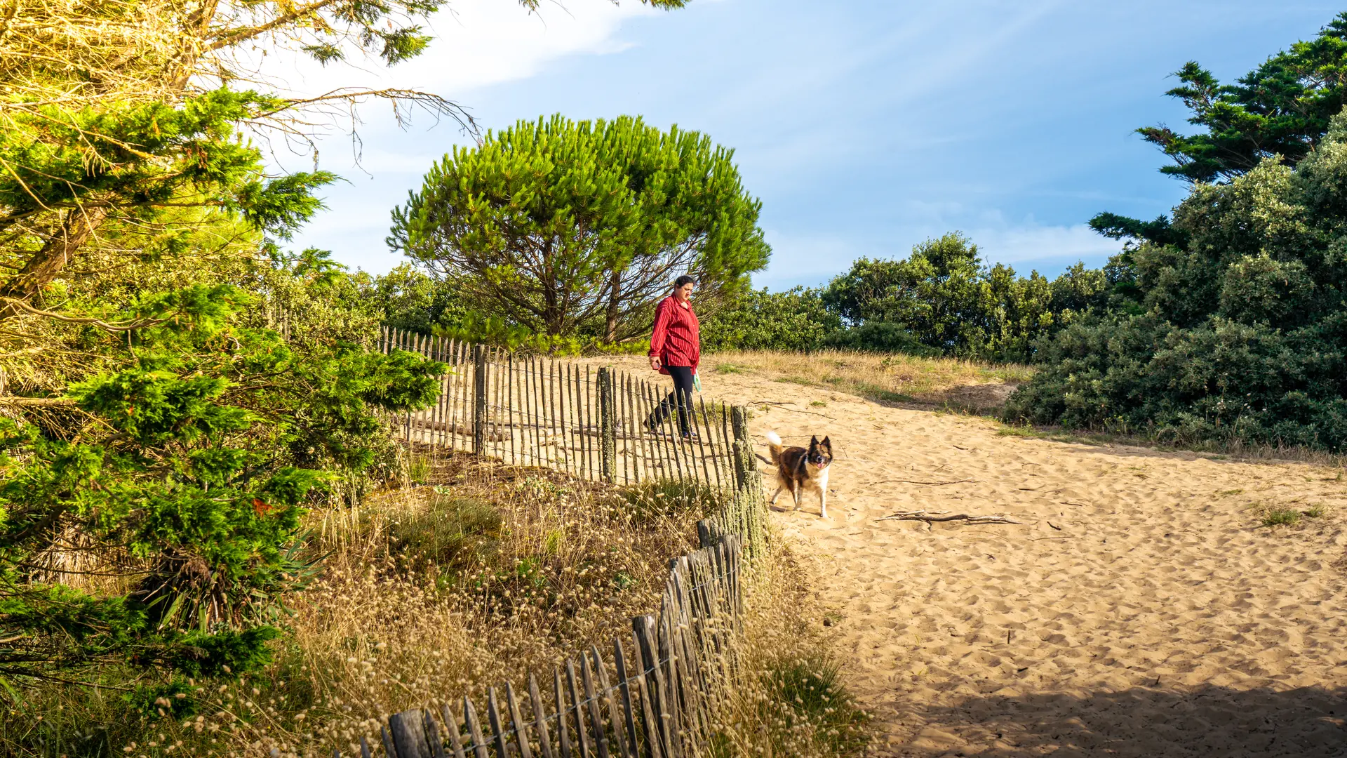 Camping APV Antioche_Le Bois-Plage-en-Ré