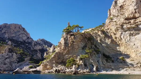 Croisière dans le Parc National des Calanques en journée - Vieux-Port Mairie