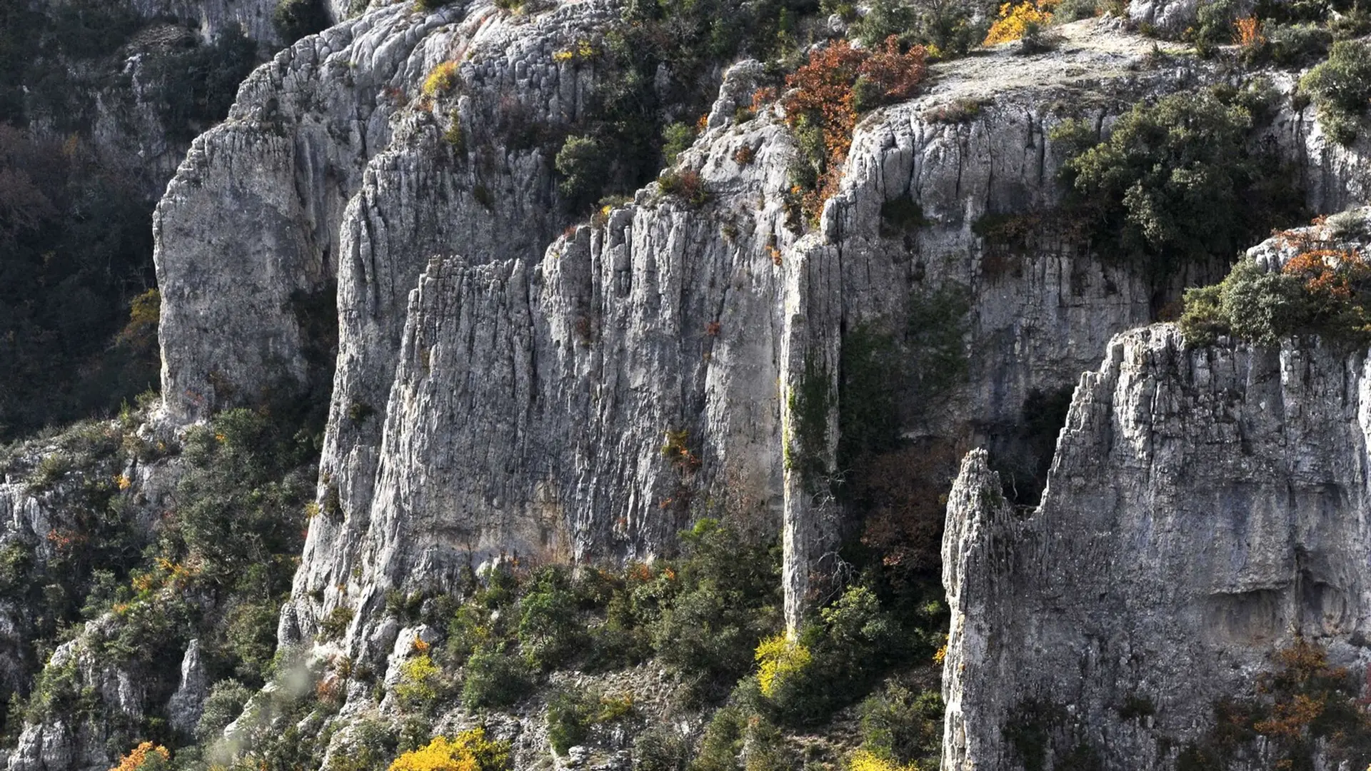 Faciès urgonien des Gorges d'Oppedette