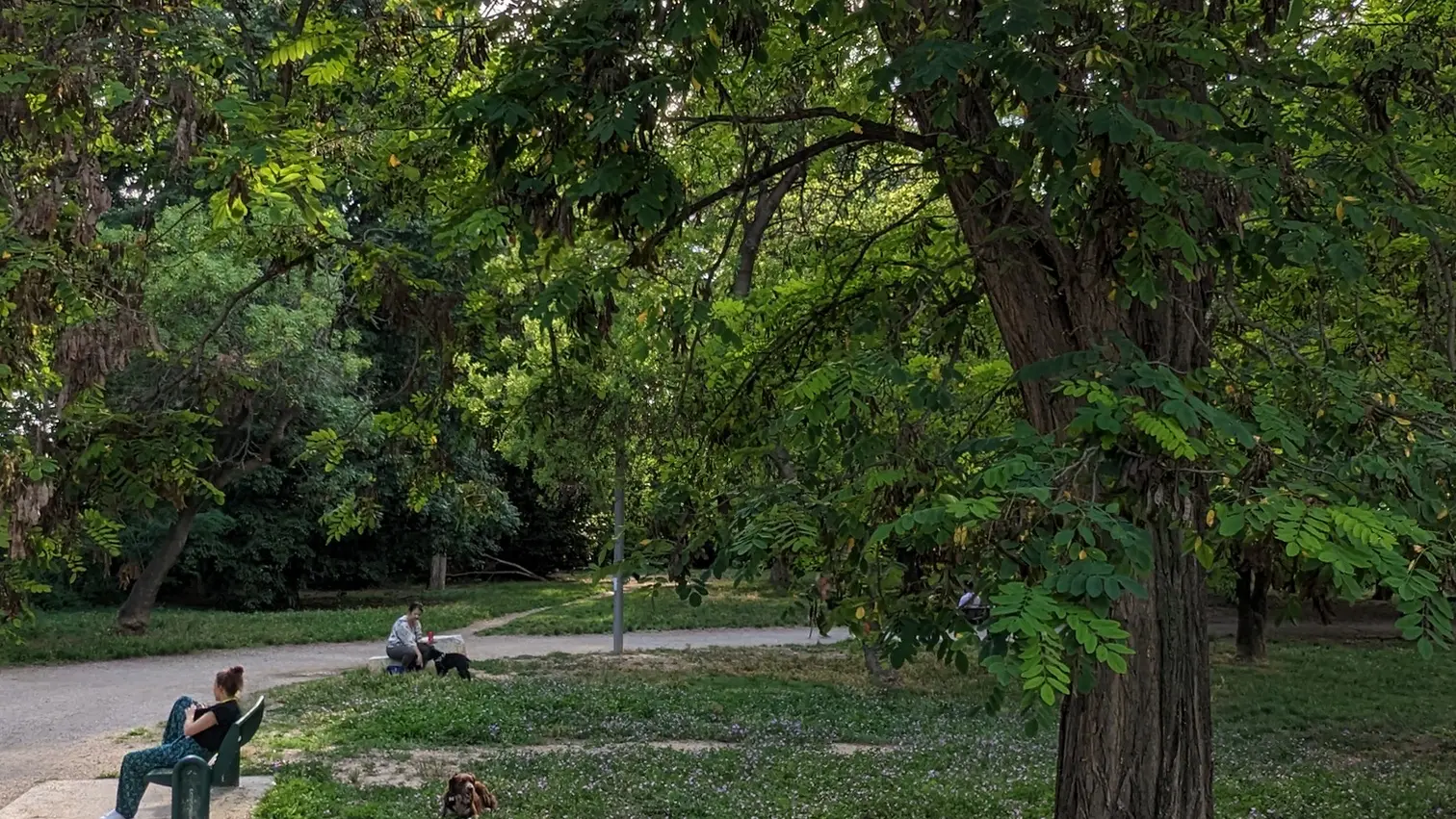 le long de l'Huveaune