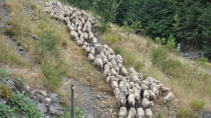 La Cantine des Gourniers REALLON