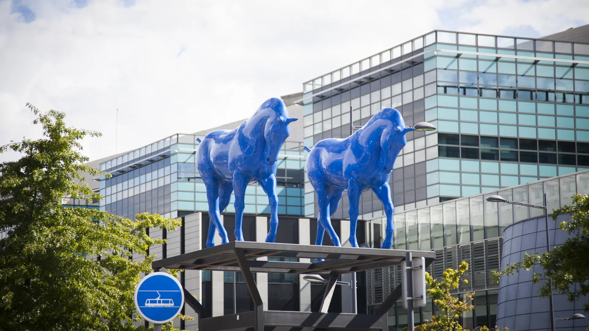 Les chevaux bleux