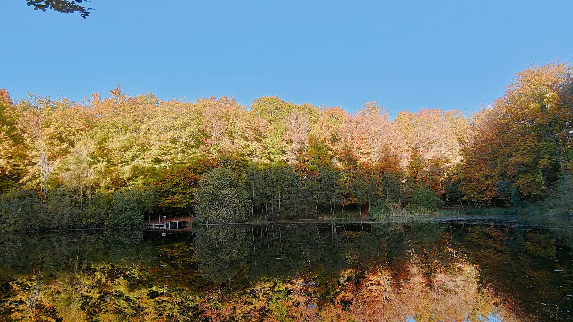 Vue sur le lac noir