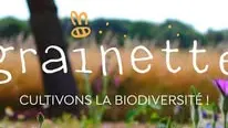 Les semences de Grainette