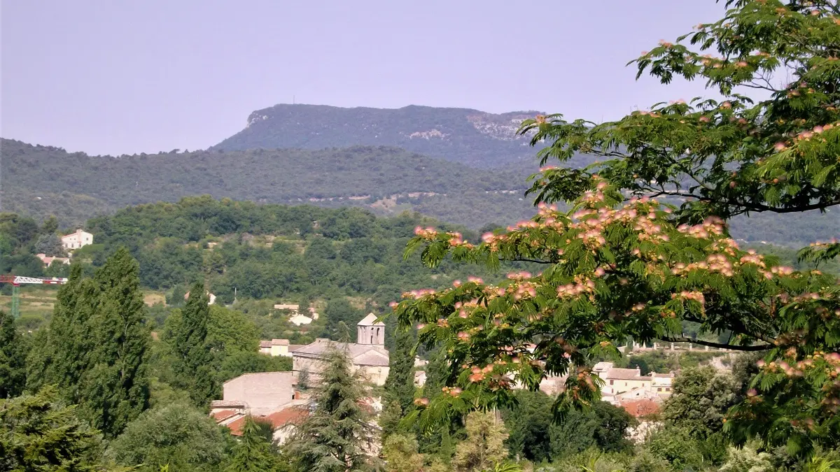 Vue extérieur au gîte du Rocher