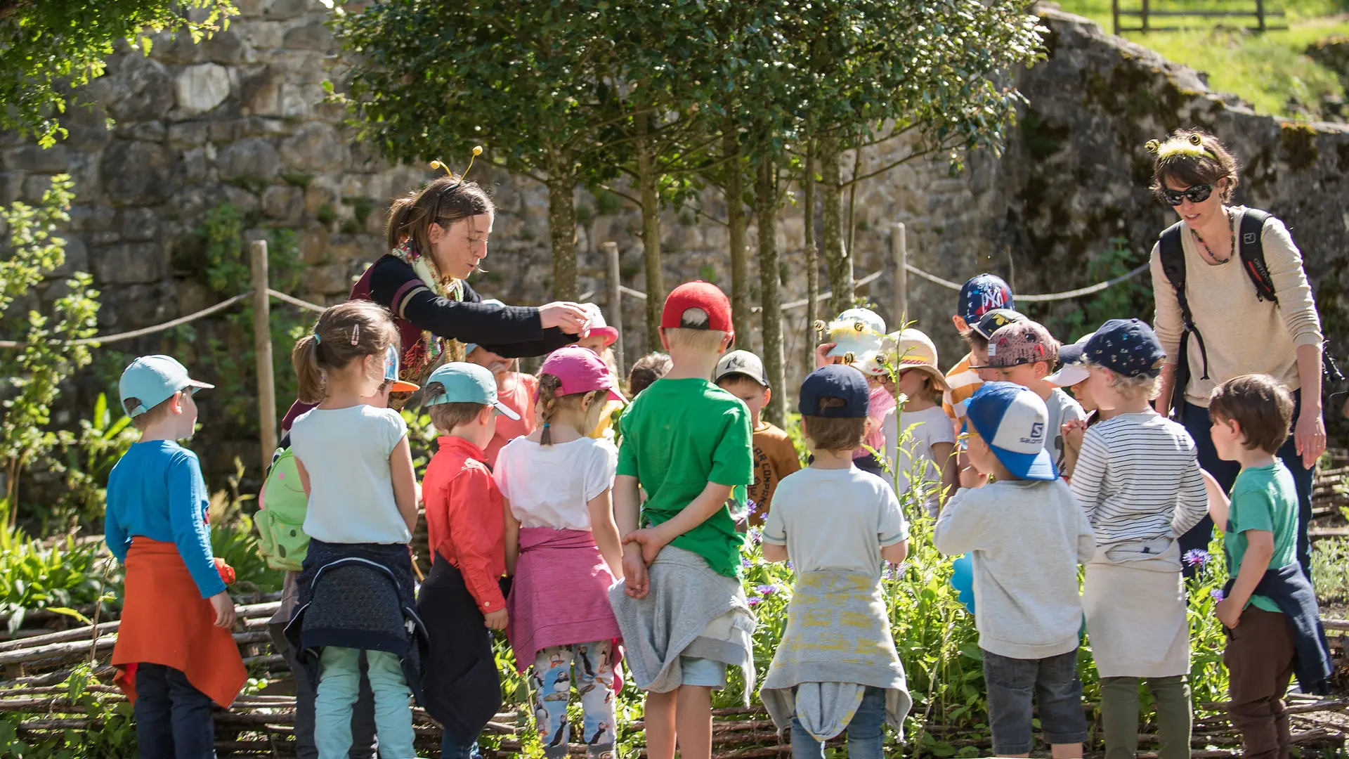 Le jardin des plantes mellifères