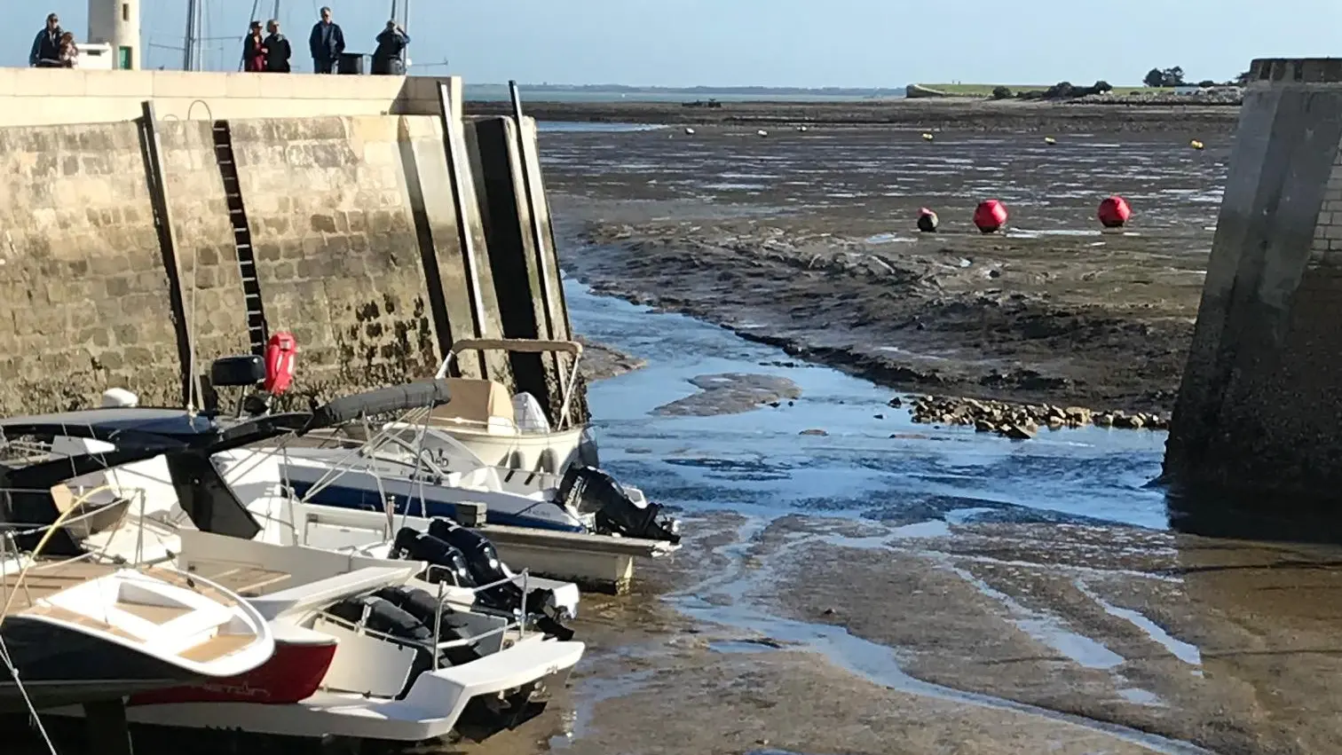 Marée basse Port de La Flotte