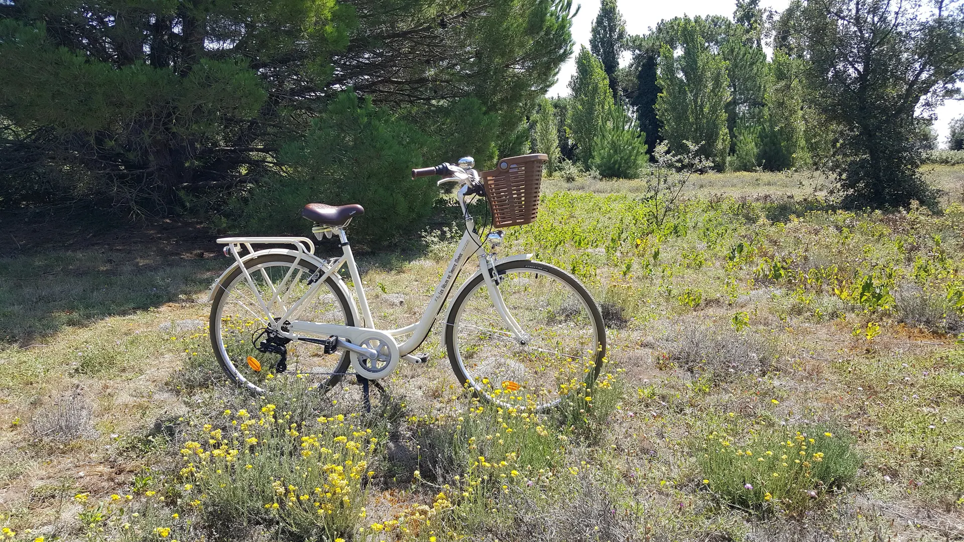 Notre vélo en pleine nature