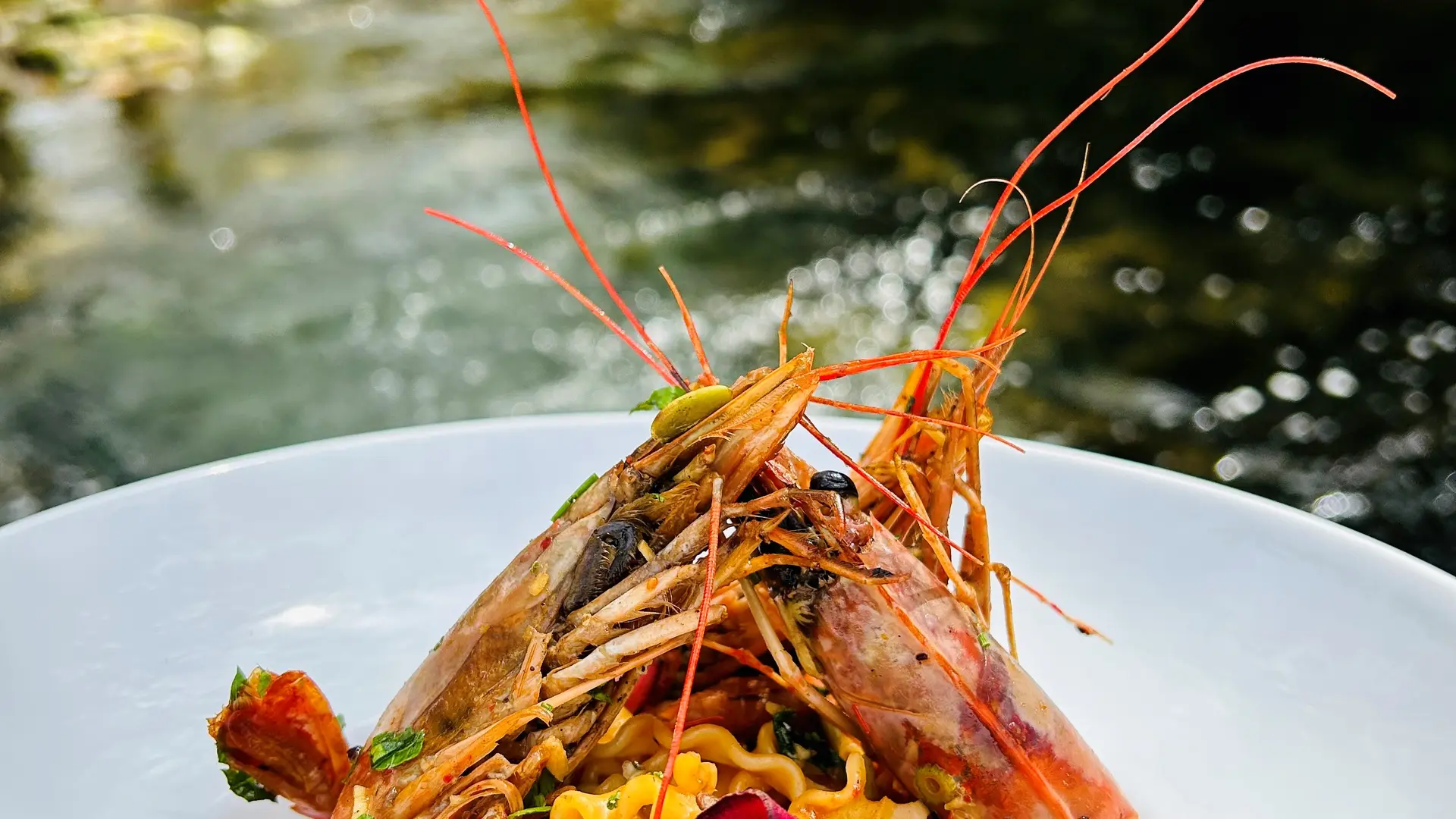 Restaurant La Bastide Enchantée_Solliès-Toucas