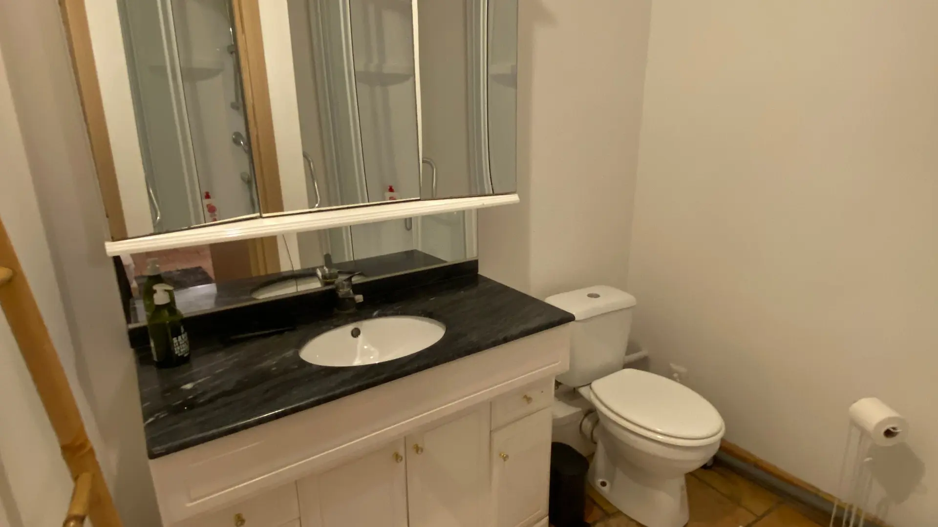 Salle d'eau + WC Chambre Kiwi