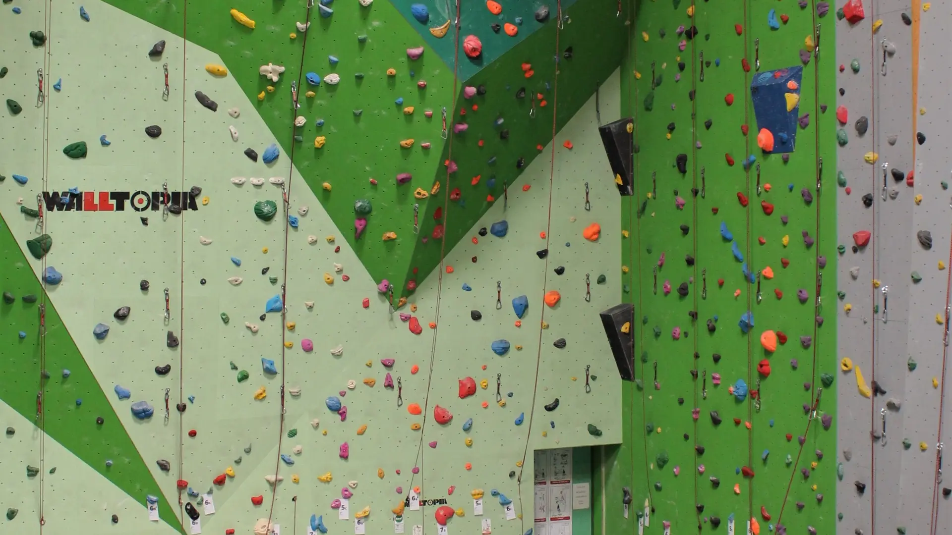 escalade sur corde adulte