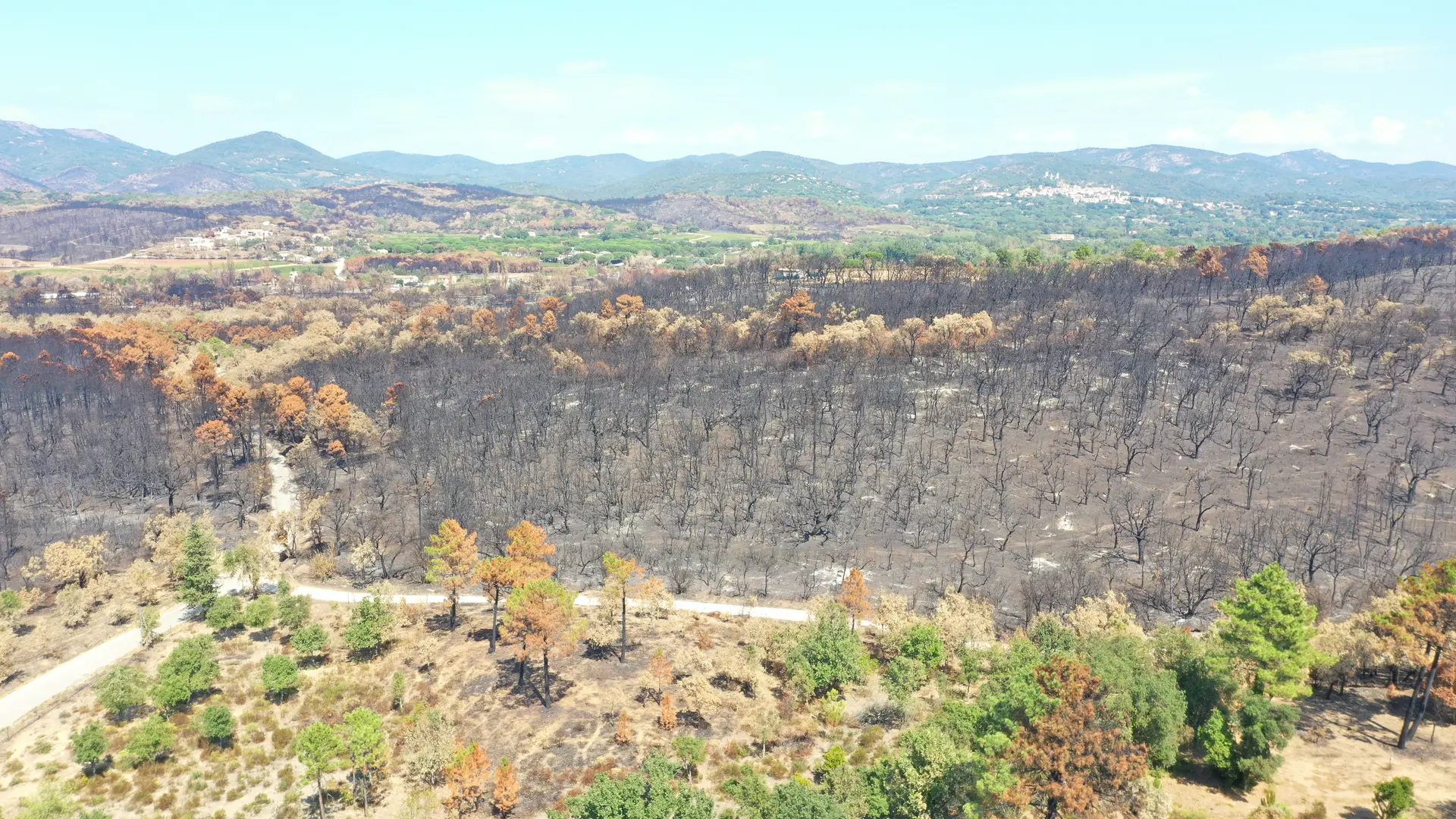Les conférences en Méditerranée Porte des Maures
